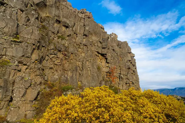 stock image Geological tectonic rock in nature of Iceland. Rocky tectonic Almannagja mountain. Mountain geology rock. Geology rocky cliff. Cliff edge Almannagja. Mountain wall cliff in Iceland.