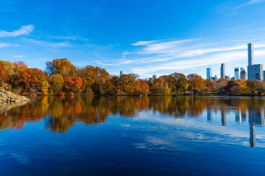 Göletli sonbahar manzarası. Sonbahar doğa manzarası. Central Park 'ta sonbahar doğası. Mevsimlik sonbahar manzarası. Sonbahar ağacını ve göleti New York 'a park et. Manzaralı düşüş. Sonbaharda Central Park 'ta. Renkler değişiyor.