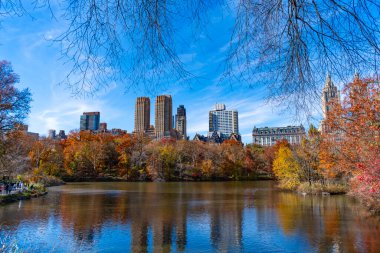 - New York. New York. Central Park 'ta. Doğa sonbahar manzarası. Central Park 'ta sonbahar sezonu. Sonbahar mevsiminde mevsimlik şehir manzarası. Doğanın sonbahar güzelliği. Şehir parkında doğa. Parkta sonbahar manzarası