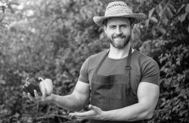 man greengrocer in straw hat presenting bell pepper.
