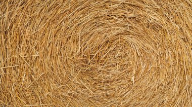 Saman balyaları büyük yığın halinde. Samanlı kırsal sonbahar. saman yaz arkaplanı. Çiftlik için saman yığını hazır. Kuru saman yığını. Saman dokusu. Samanlık deposu.