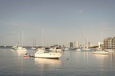 Yelkenciliği düşün. Miami, ABD 'de yelkenli tekneleri. Lüks tekneler denizde yüzüyor. Yatçılık ve kayıkçılık. Deniz tatili. Yaz tatili.