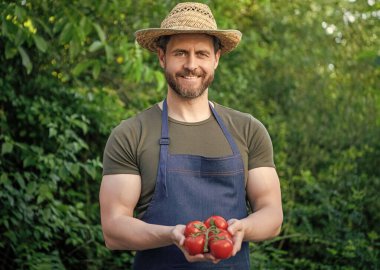 Hasır şapkalı, domatesli manav. vejetaryen.