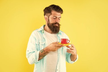 Sakallı adam sabah kahvesini sarı arka planda içer, kahve fincanı....