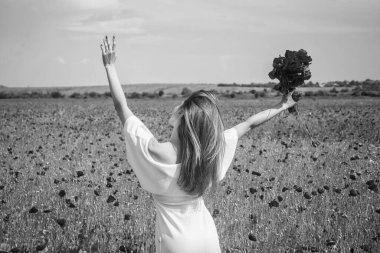 Samimi duygular. Yaz ya da bahar doğası. mevsimlik güzellik manzarası. Beyaz elbiseli genç kız çayırda yürüyor. Tatil. Özgürlük duygusu. Güzel kadın tarlada kırmızı haşhaş çiçeği buketi topla..