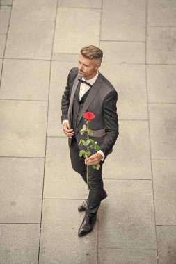 elegant man in tuxedo. man wearing bowtie suit outdoor. hoary tuxedo man with red rose.