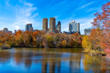 Central Park 'ta sonbahar sezonu. Sonbahar mevsiminde mevsimlik şehir manzarası. Doğanın sonbahar güzelliği. Şehir parkında doğa. Parkta sonbahar manzarası. Sonbahar manzarası. Doğa sonbahar manzarası. Çamurlu alanlar.
