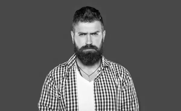 stock image bearded hipster man wear checkered shirt on grey background.