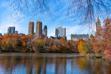 New York sonbaharı. Central Park 'ta sonbahar sezonu. Sonbahar mevsiminde mevsimlik şehir manzarası. - New York. New York. Central Park 'ta. Doğanın sonbahar güzelliği. Şehir parkında doğa. Parkta sonbahar manzarası. Sonbahar