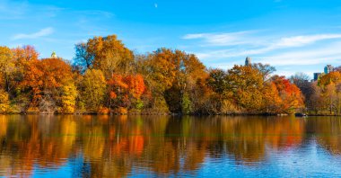 New York sonbaharı. New York City Central Park 'ta gölde teknesi var. Sonbahar manzarası. Central Park göletinde kürek çeken insanlar. Sonbaharda Central Park 'ta renkli devrilmiş ağaçlar. Sonbahar doğası