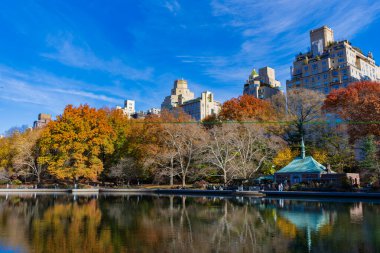 New York City, ABD - 20 Kasım 2023: New York sonbahar baharı. Central Park 'ın sonbahar manzarası. Sonbahar sezonu. Güzel şehir manzarası ve doğa. Eylül havası.