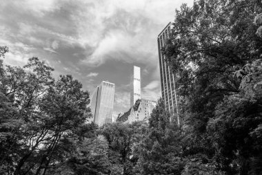 ABD, New York, Central Park 'ın etrafındaki gökdelen. Gökdelenli doğa manzarası. New York 'un Central Park' ı. Central Park 'ta bahar ve bina Manhattan şehir merkezinde..