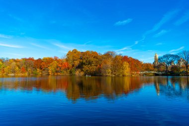 New York sonbaharı. New York City Central Park 'ta gölde teknesi var. Sonbahar manzarası. Central Park göletinde kürek çeken insanlar. Sonbaharda Central Park 'ta renkli devrilmiş ağaçlar. Sonbahar doğası