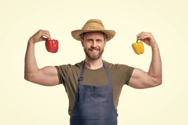 strong man in apron and hat with sweet pepper vegetable isolated on white.