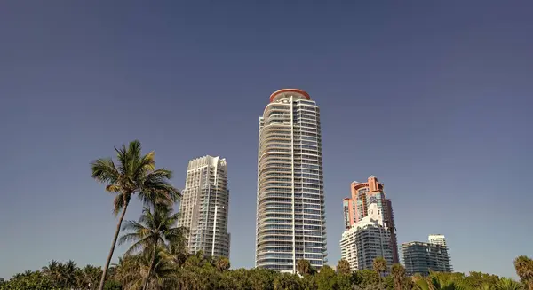 stock image Urban skyline with skyscrapers and palms bottom view on blue sky in South Beach, USA.