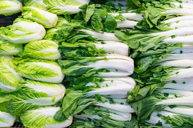 Çin ve Pekinensis lahanası. Bok choy arka planı. Yiyecek pazarında sebze sebzesi. Organik yiyecekler. Organik sebze bok choy. Organik Bok Choy 'un arka planı. Eko sebze. Sağlıklı diyet.