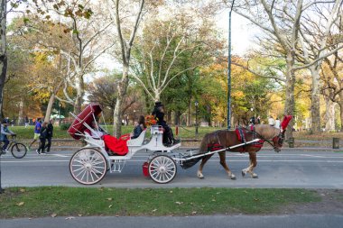 New York City, ABD - 11 Kasım 2023: At arabası turu Central Park olsun. Turistik gezi. Atlı at arabası. Central Park 'ta turistlerle dolu bir at arabası. Eski savaş arabası..