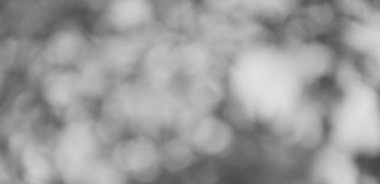 Bulanık sarı fon. Sarı renk bulanık arkaplan. Sarı bulanık arkaplan, kimse yok..