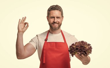 man in apron with lettuce vegetable show ok gesture isolated on white.