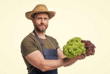 Kafkas bahçıvanı önlüklü ve şapkalı, marullu, beyaz tenli..