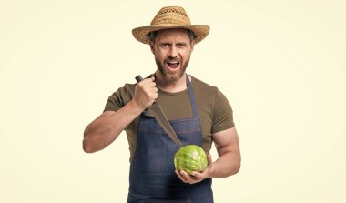 Beyaz önlüklü bağıran adam lahana ve bıçağı izole etti..