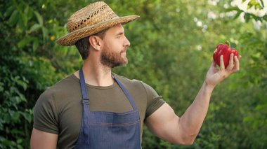 Hasır şapkalı çiftçi ve tatlı biber..