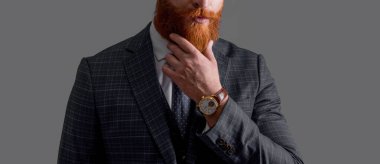 Takım elbise ve iş CEO 'su. Takım elbiseli CEO 'nun gri arka planda izole edilmiş görüntüsü. İş CEO 'su resmi kıyafet giyer. Stüdyo CEO 'su..