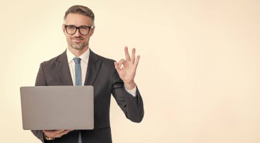 Diz üstü bilgisayarda çalışan olgun iş adamı beyaz arka planda izole edilmiş. Tamam.