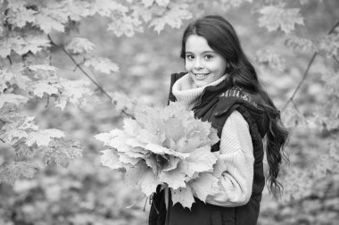 Dışarıda akçaağaç yaprağı olan uzun saçlı mutlu bir çocuk. Sonbahar doğası. çocukluk mutluluğu. Doğal güzellik. Sonbahar modası. Genç kız sarı sonbahar yaprağını tutuyor.