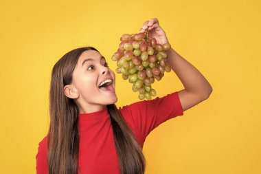 amazed child eat bunch of grapes on yellow background.