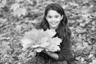 çocukluk mutluluğu. Doğal güzellik. Sonbahar modası. Okul üniformalı genç kız güz yaprağı demeti tutuyor. Mutlu çocuk dışarıda akçaağaç yaprağıyla eğleniyor. Sonbahar doğası.