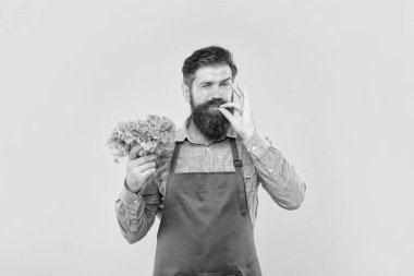 Önlüklü göz kırpan, parmağını yalayan, elinde taze yaprak, sarı arka plan, manavlar.