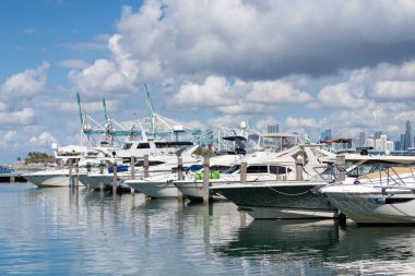 Miami sahilinde lüks bir yat. Miami Beach, Florida 'daki Marina' da. Lüks Güney Sahili marinası. Miami şehir marinası etkileyici bir yat ve teknesi var. Lauderdale Kanalı 'na demirlemiş lüks bir yat..
