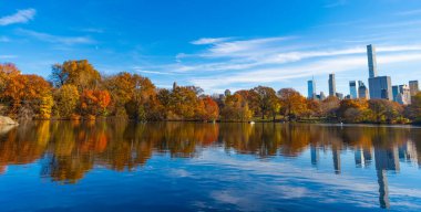 Central Park 'ta sonbahar doğası. Mevsimlik sonbahar manzarası. Sonbahar ağacını ve göleti New York 'a park et. Manzaralı düşüş. Sonbaharda Central Park 'ta. Göletli sonbahar manzarası. Sonbahar doğa manzarası. Soğuk hava..