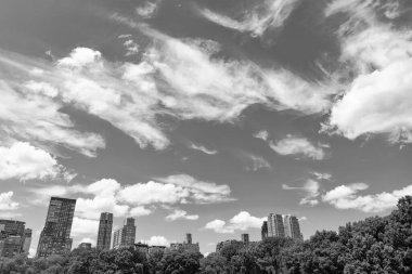 New York 'un Central Park' ı. Gökdelenli doğa manzarası. New York ve Manhattan. Central Park 'ın manzarası ve gökdelen mimarisi. Manhattan 'daki şehir merkezi parkı. Geniş park alanı.