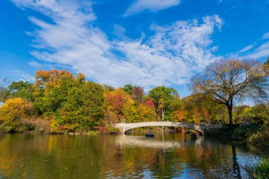 New York City, ABD - 25 Ekim 2023: Central Park 'ta kürek çeken insanlar. Sonbahar ağaçlı Central Park. Sonbahar doğası. Gölde teknesi olan Central Park. Sonbahar manzarası. Güneşli hava.