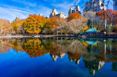 New York City, ABD - 20 Kasım 2023: Sonbahar sezonunda Central Park 'ın güzel şehir manzarası ve sudaki yansımasıyla sonbahar şehri manzarası.