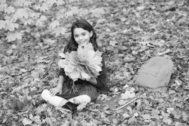 Okula dönüyorum. Defteri olan çocuk. Sonbahar modası. Okul üniformalı genç kız sonbahar yaprakları tutuyor. Akçaağaç yaprağı demeti ve sırt çantalı neşeli çocuk. Sonbahar doğası. çocukluk mutluluğu.