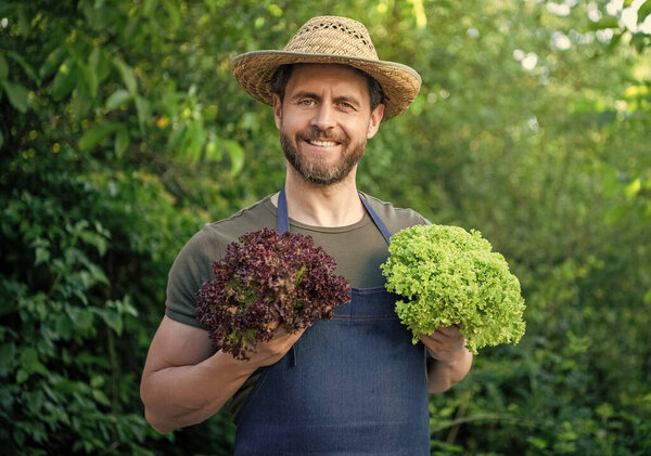 зеленщик в соломенной шляпе с листьями салата. органические продукты.