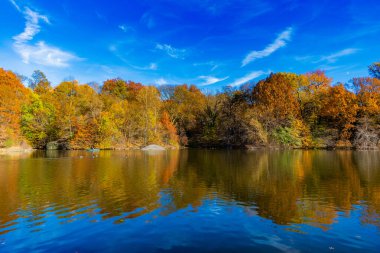 Central Park 'ta küçük bir gölde kayık. Sonbaharda Central Park Gölü 'nde insanların kürek çektiği bir yer. Central Park güneşli sonbahar gününde renk değiştiriyor. Sonbahar manzarası. Sonbahar doğası. Şehir simgesi.
