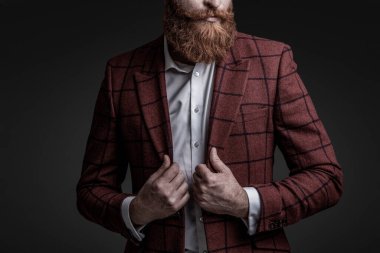 Şık takım elbiseli karizmatik sakallı adam. Resmi tarzda. Kızıl sakallı, gri, kırpık manzaralı..