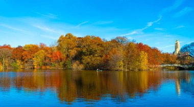 Sonbaharda Central Park 'ta renkli devrilmiş ağaçlar. Sonbahar doğası. New York City Central Park 'ta gölde teknesi var. Sonbahar manzarası. Central Park göletinde kürek çeken insanlar. Göl dinginliği.