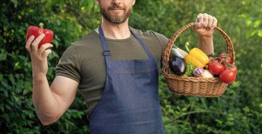 Kırpılmış çiftlik işçisi manzarası Sepet dolusu sebze.