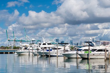 Miami şehir marinası etkileyici bir yat ve teknesi var. Lauderdale Kanalı 'na demirlemiş lüks bir yat. Miami sahilinde lüks bir yat. Miami Beach, Florida 'daki Marina' da. Lüks Güney Sahili marinası. Güney Sahili.