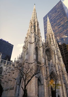 New York City, ABD - 11 Kasım 2023: New York Manhattan 'daki St. Patrick Katedrali kilise mimarisi.