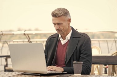 Ciddi bir patron bilgisayarda çalışıyor açık kafede kahve içiyor..