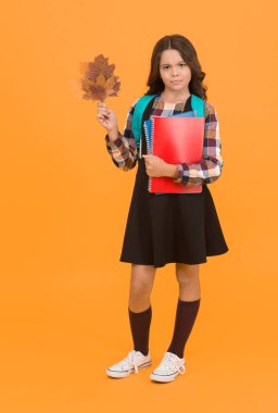 Daha fazla bilgi kimseyi incitmez. Sevimli küçük kız kitap ve sonbahar yapraklarını tutuyor. Sevimli küçük çocuk okula geri döndü. Bilgi ve beceriler. Eğitim bilgi verir. Bilgi toplama günü. 1 Eylül.