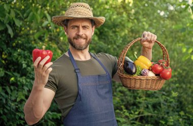 man in straw hat hold basket full of vegetables. organic food. clipart