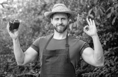 Hasır şapkalı manav ve tatlı biber. Tamam