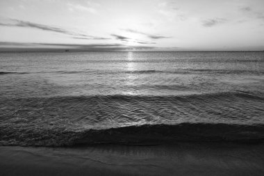 Yazın kumsalında deniz suyuyla güzel bir sabah manzarası..